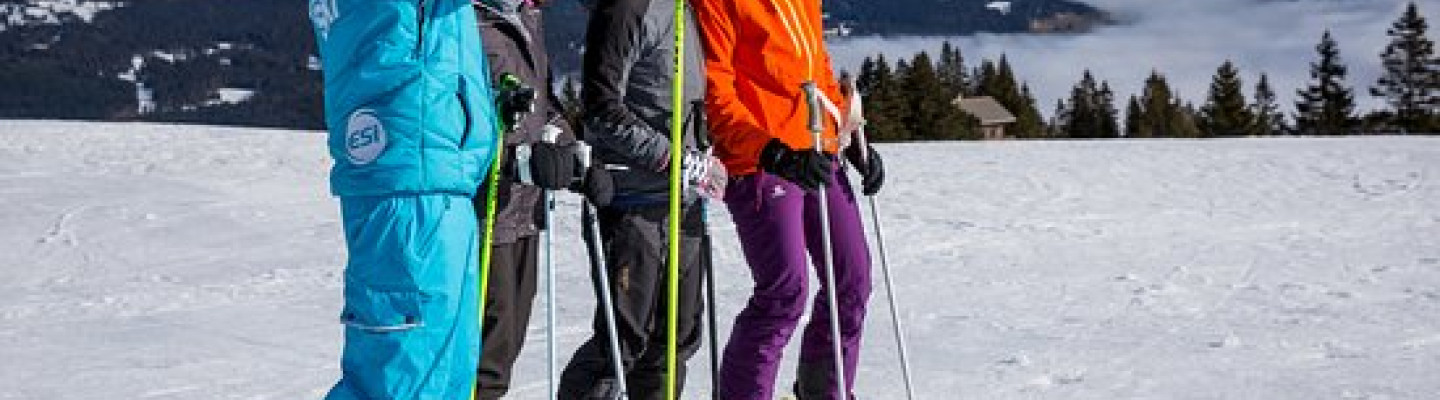 Adult ski group - 1650
